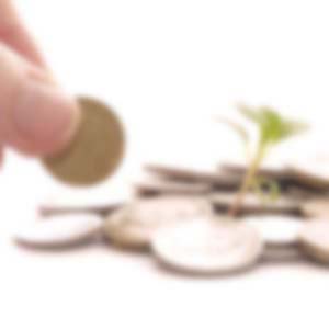 South Wind Bookkeeping & Tax