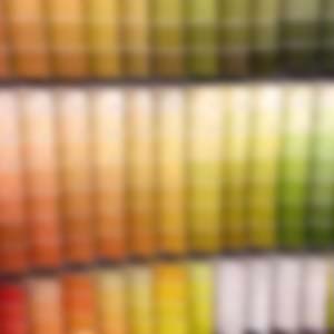 Sherwin-Williams Paint Store - Orleans